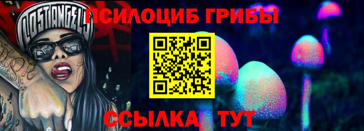 Шелехов  Псилоцибиновые грибы прущие грибы  Вход с VPN 
